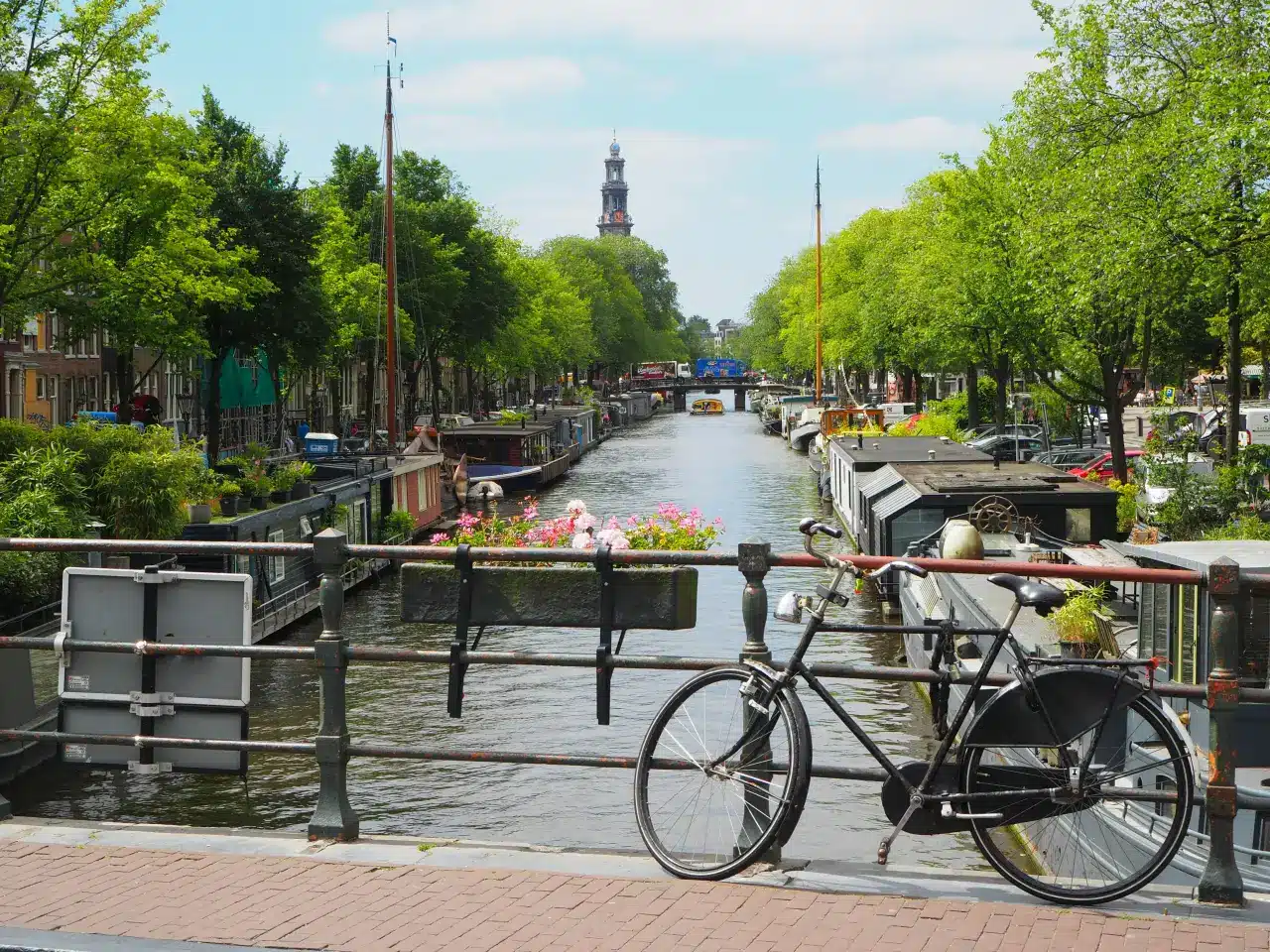 Considering a Move to the Netherlands?