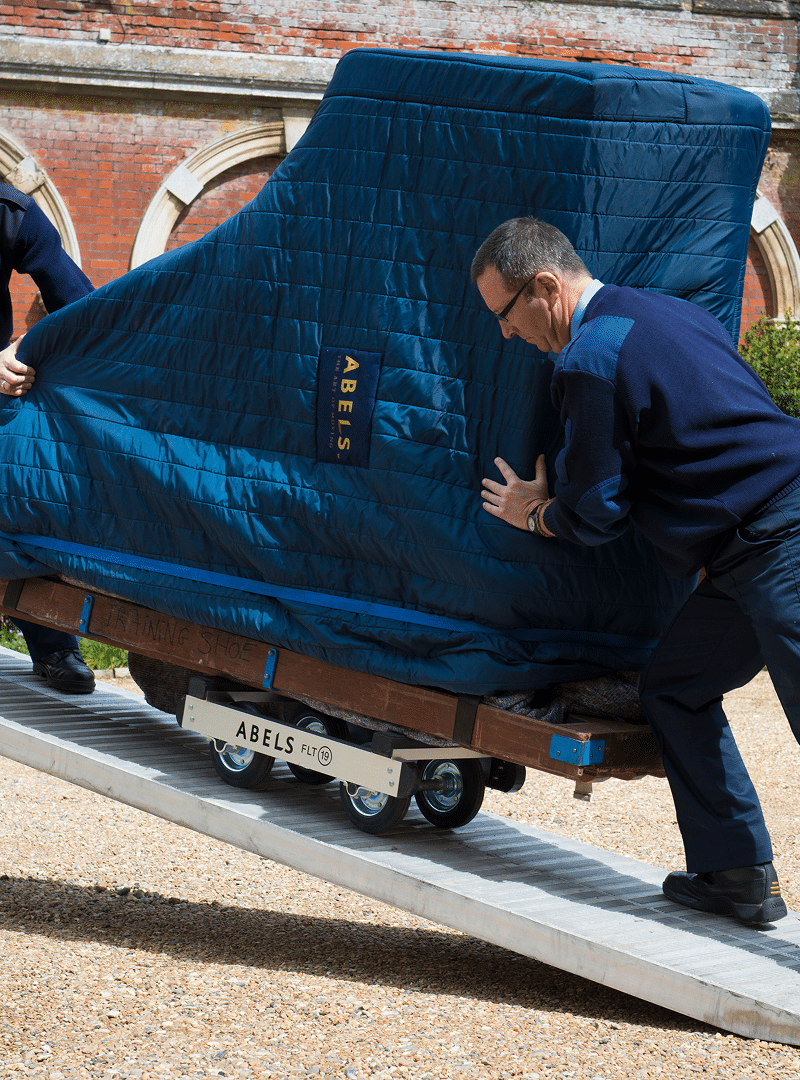 Specialist Removals