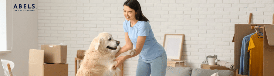 Moving House with Pets: A Practical Guide to a Calmer Move